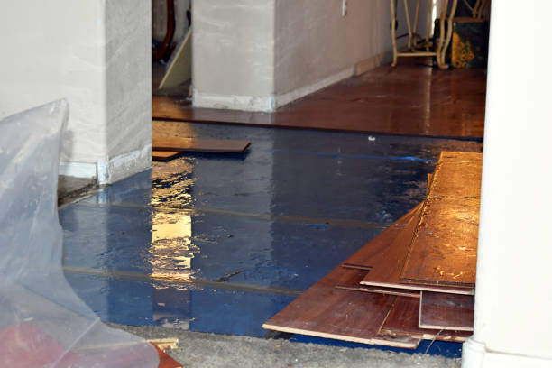 Professional Flood Cleanup technician working in Olympia, WA