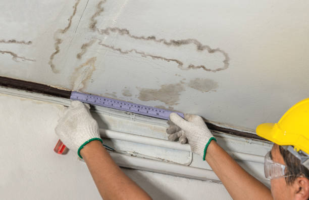 Reliable Flood Cleanup contractor in Olympia, WA by Water Damage Irwin